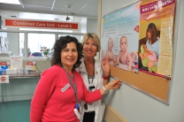 Susan Harrison and Kathy Hamelin putting up breastfeeding support posters, 2009. HSC Communications